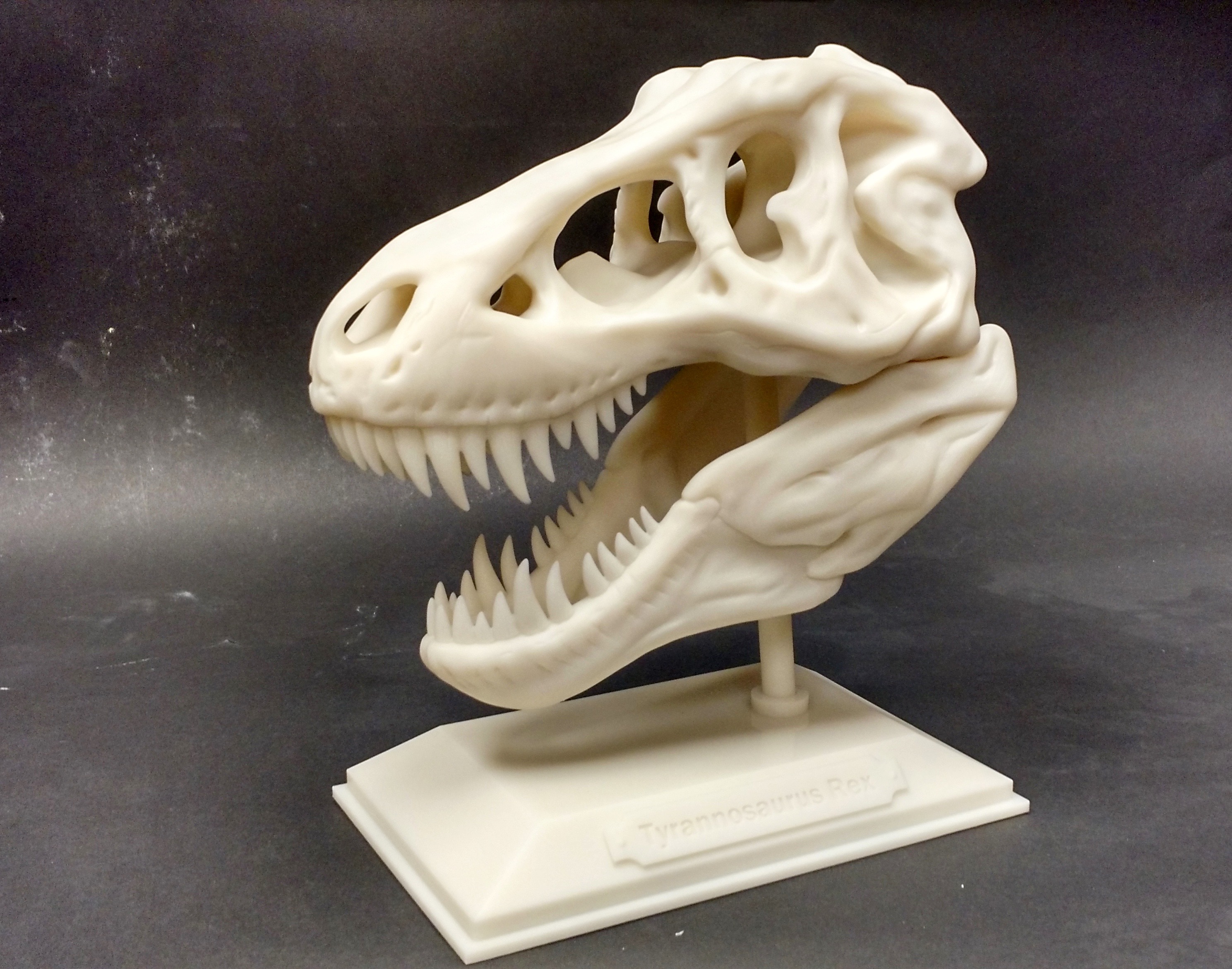 The Realize 3D Printed Item Of The Month Jurassic T Rex Realize Inc